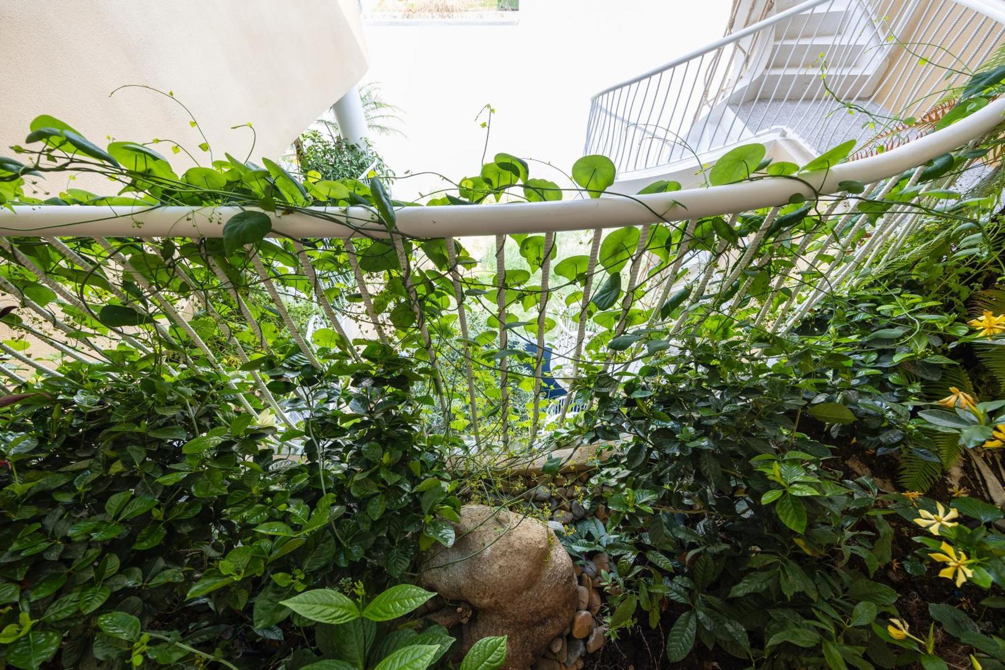 Saha Casa Boutique Hotel 다낭 외부 사진